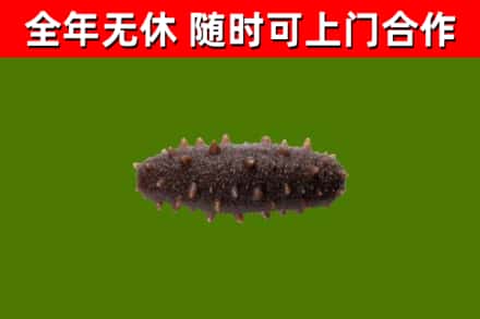 民和县烟酒回收干海参.jpg